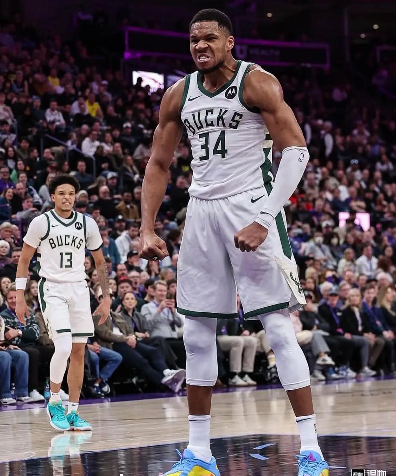 观赛指南与 观赛指南与